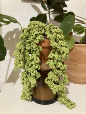 Mini plante au crochet