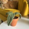 Mini pousse au crochet