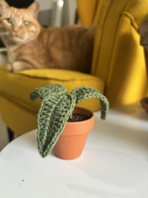 Mini pousse au crochet