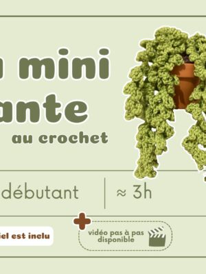 Kit créatif - Mini plante au crochet